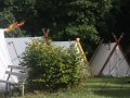 IMG_2493 IMG_2493