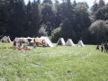 IMG_3747 IMG_3747